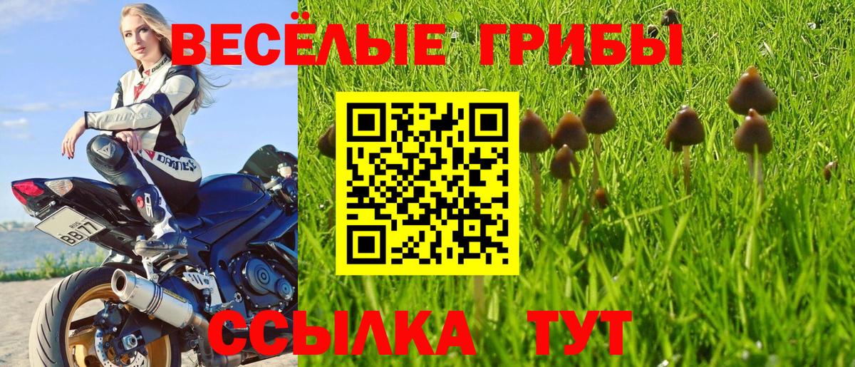 Черногорск  Галлюциногенные грибы Magic Shrooms  Вход с VPN 
